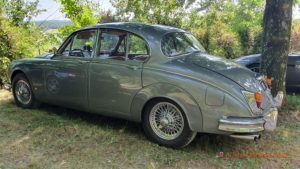 Jaguar MK2 Grise